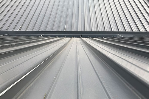 教育類(lèi)項(xiàng)目&mdash;&mdash;東華大學(xué)屋面